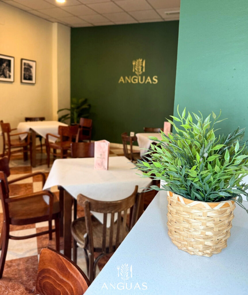 Logotipo Casa Anguas