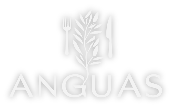Logotipo Casa Anguas